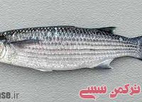 ادامه مطلب...