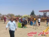 ادامه مطلب...