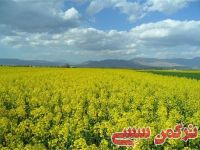 ادامه مطلب...