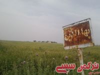 ادامه مطلب...