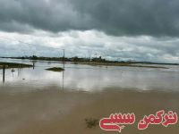 ادامه مطلب...