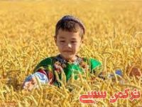 ادامه مطلب...