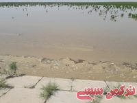 ادامه مطلب...