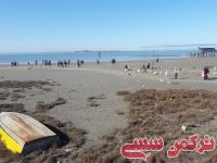 ادامه مطلب...