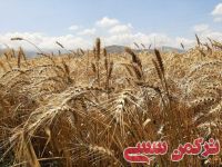 ادامه مطلب...