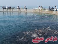 ادامه مطلب...