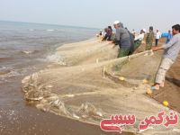 ادامه مطلب...