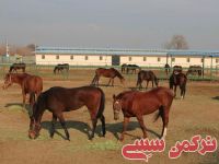 ادامه مطلب...