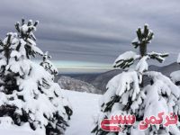 ادامه مطلب...