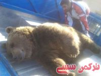 ادامه مطلب...
