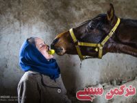 ادامه مطلب...