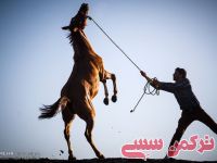 ادامه مطلب...