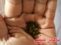 ادامه مطلب...