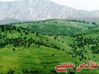 ادامه مطلب...