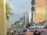 ادامه مطلب...