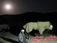 ادامه مطلب...