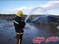 ادامه مطلب...