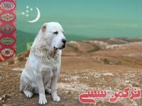 ادامه مطلب...