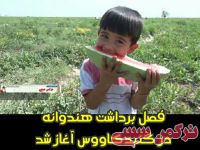 ادامه مطلب...