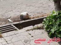 ادامه مطلب...