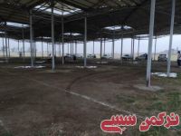 ادامه مطلب...