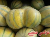 ادامه مطلب...