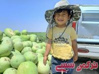 ادامه مطلب...