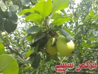 ادامه مطلب...