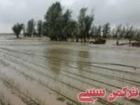 ادامه مطلب...
