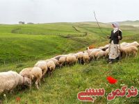 ادامه مطلب...