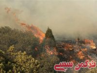 ادامه مطلب...