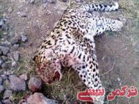 ادامه مطلب...