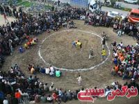 ادامه مطلب...
