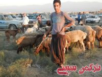 ادامه مطلب...