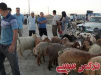 ادامه مطلب...