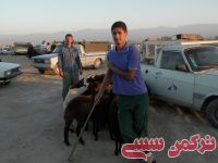 ادامه مطلب...