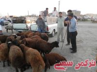 ادامه مطلب...