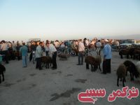 ادامه مطلب...