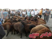 ادامه مطلب...