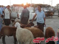 ادامه مطلب...