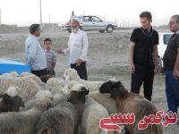 ادامه مطلب...