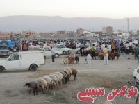 ادامه مطلب...