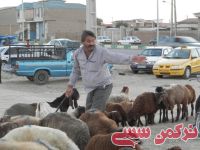 ادامه مطلب...