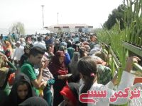 ادامه مطلب...