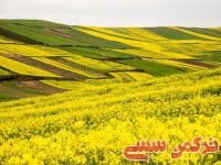 ادامه مطلب...