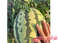 ادامه مطلب...