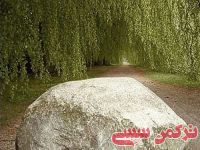 ادامه مطلب...