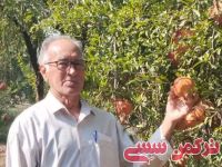 ادامه مطلب...