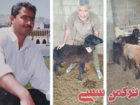 ادامه مطلب...