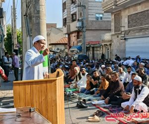 c_300_250_16777215_10_images_22bahmangollidagh_28336.jpeg